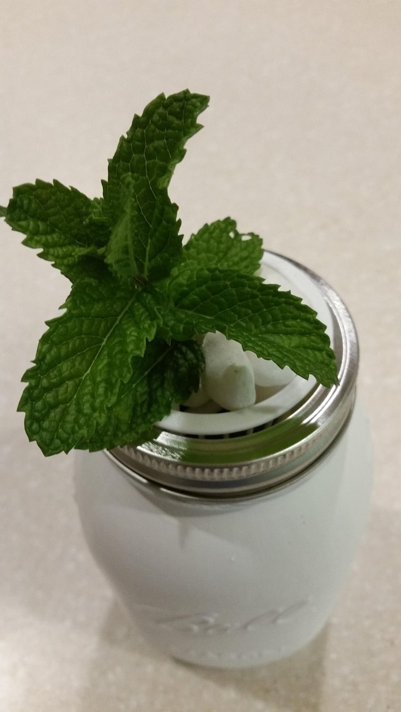 Mason Jar Wall Planter